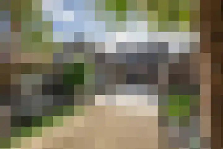 Wilhelminastraat 6 Den Bommel thumbnail 31