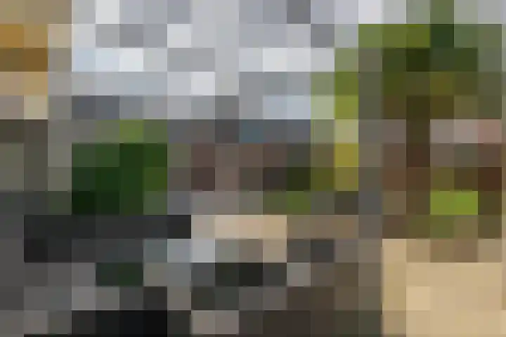 Wilhelminastraat 6 Den Bommel thumbnail 32