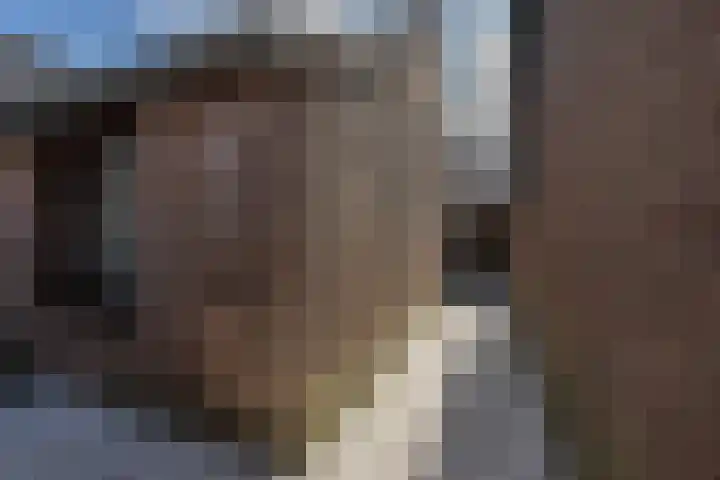 Wilhelminastraat 6 Den Bommel thumbnail 34
