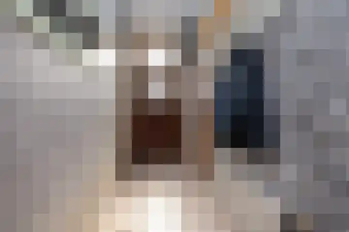 Wilhelminastraat 6 Den Bommel thumbnail 5