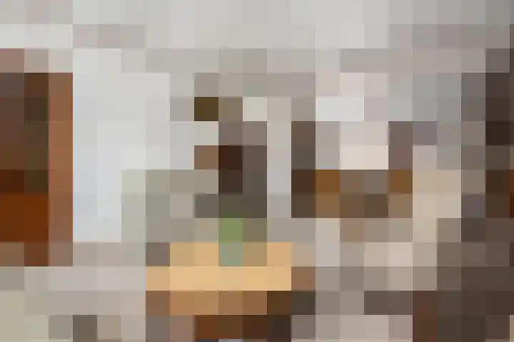 Wilhelminastraat 6 Den Bommel thumbnail 9
