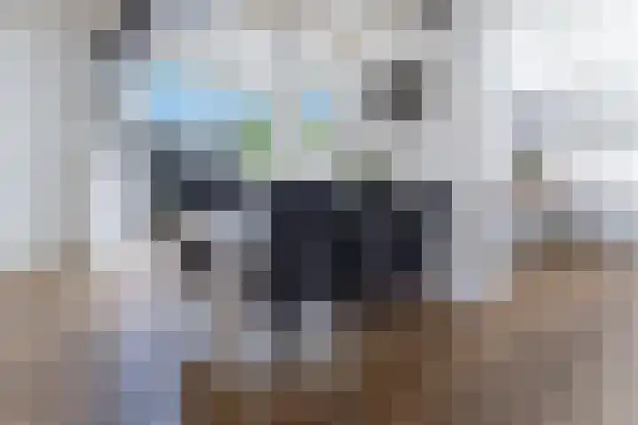 Wilhelminastraat 6 Dinteloord thumbnail 10