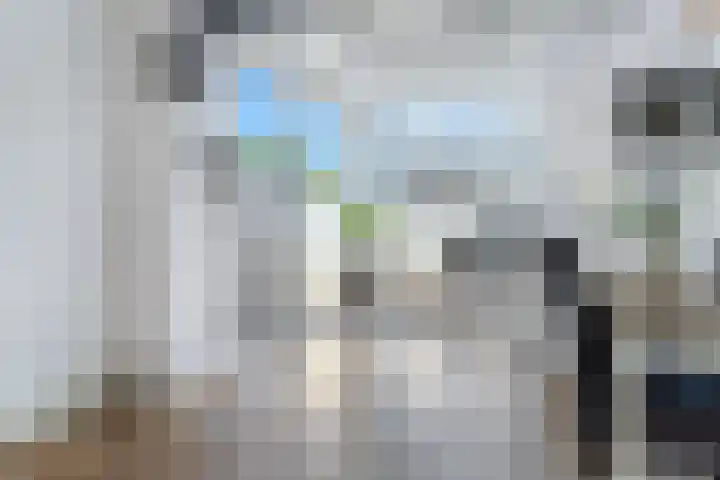Wilhelminastraat 6 Dinteloord thumbnail 11