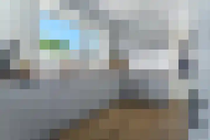 Wilhelminastraat 6 Dinteloord thumbnail 12