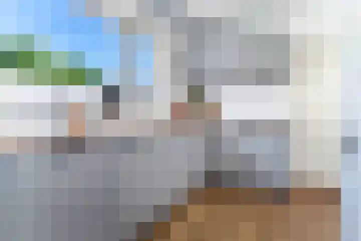 Wilhelminastraat 6 Dinteloord thumbnail 16