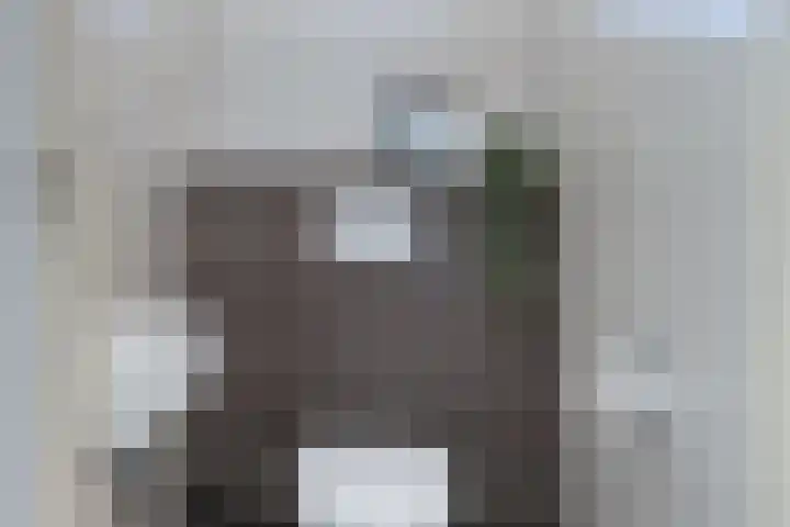 Wilhelminastraat 6 Dinteloord thumbnail 18