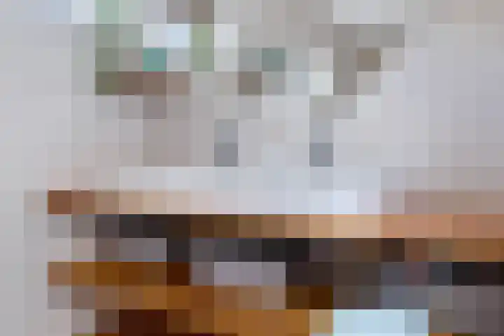Wilhelminastraat 6 Dinteloord thumbnail 19