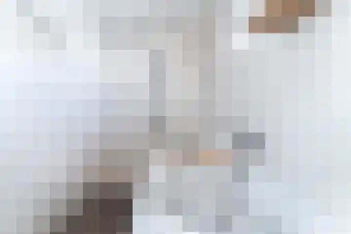 Wilhelminastraat 6 Dinteloord thumbnail 21