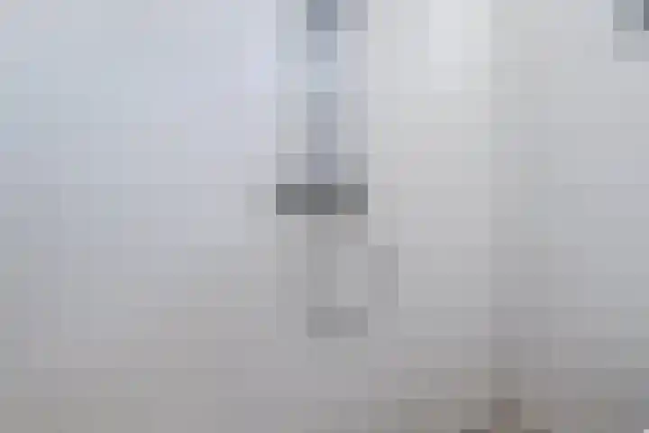 Wilhelminastraat 6 Dinteloord thumbnail 22