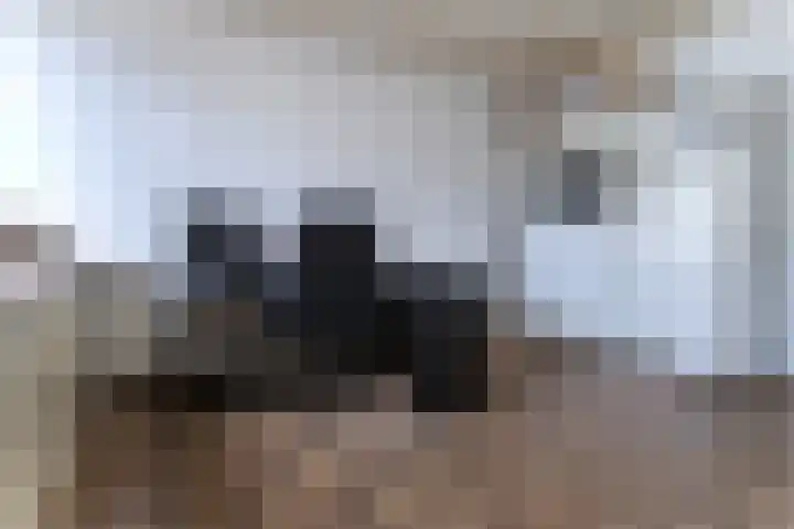 Wilhelminastraat 6 Dinteloord thumbnail 26