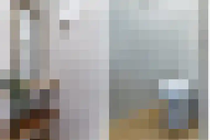 Wilhelminastraat 6 Dinteloord thumbnail 29