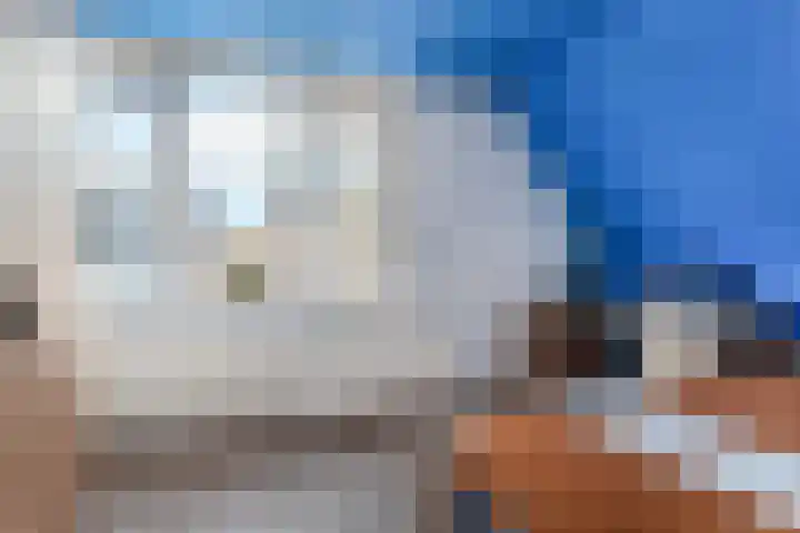 Wilhelminastraat 6 Dinteloord thumbnail 36