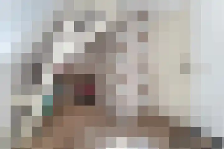 Wilhelminastraat 6 Dinteloord thumbnail 37