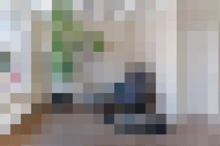 Wilhelminastraat 6 Dinteloord thumbnail 4