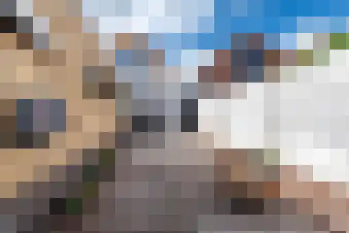 Wilhelminastraat 6 Dinteloord thumbnail 41