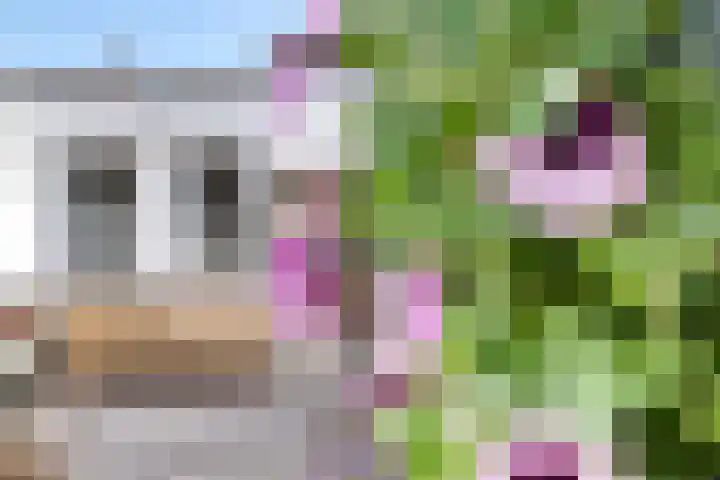 Wilhelminastraat 6 Dinteloord thumbnail 42