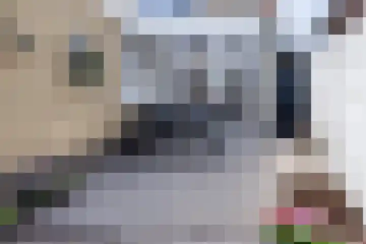 Wilhelminastraat 6 Dinteloord thumbnail 43