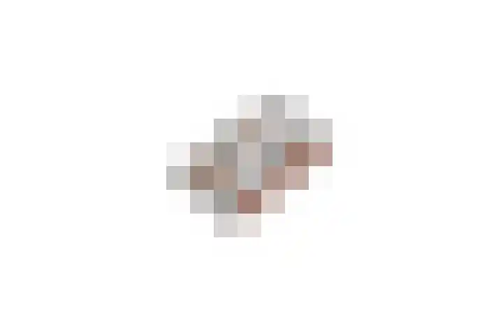 Wilhelminastraat 6 Dinteloord thumbnail 49