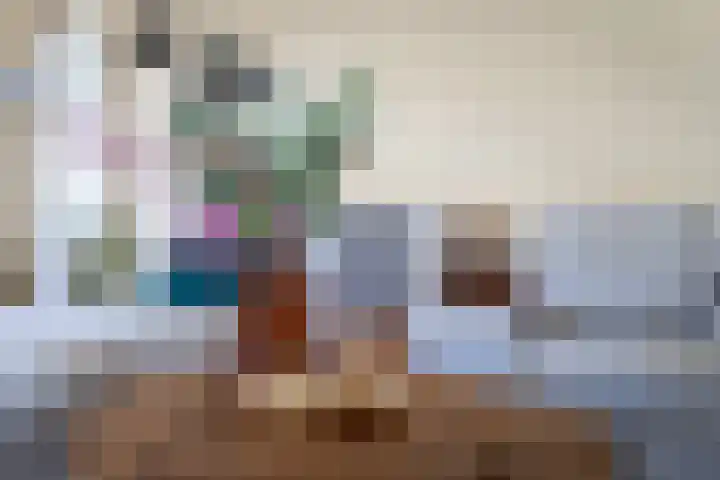 Wilhelminastraat 6 Dinteloord thumbnail 5