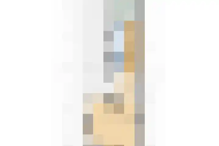 Wilhelminastraat 6 Dinteloord thumbnail 50