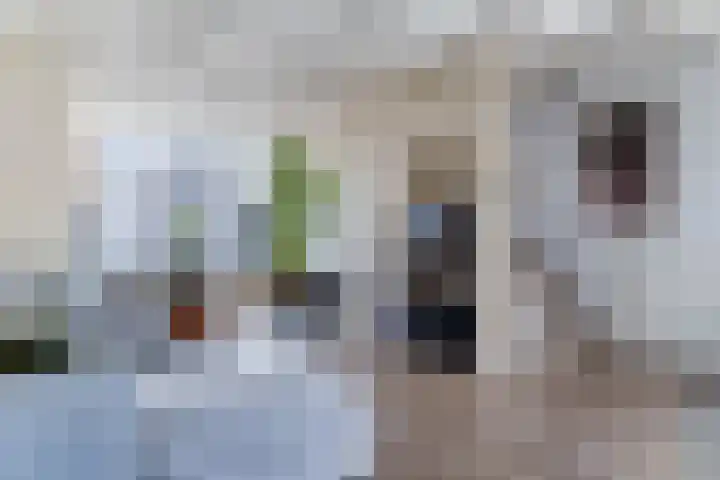 Wilhelminastraat 6 Dinteloord thumbnail 7