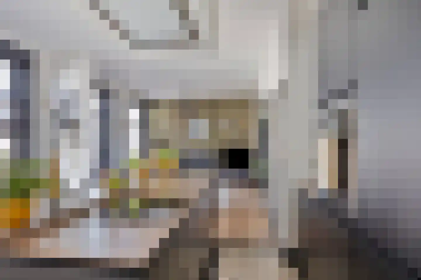 Wilhelminastraat 6 Enschede thumbnail 4