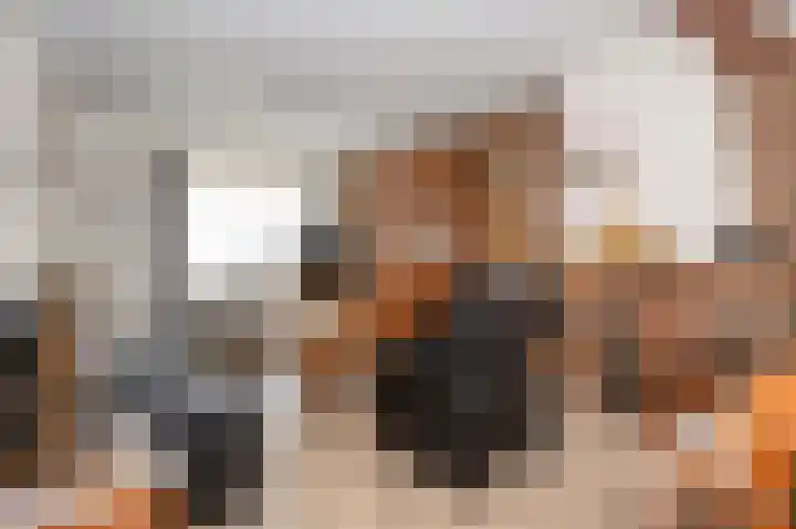 Wilhelminastraat 6 Geleen thumbnail 10