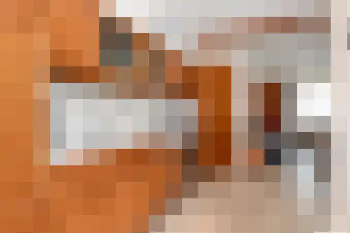 Wilhelminastraat 6 Geleen thumbnail 13