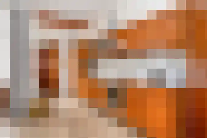 Wilhelminastraat 6 Geleen thumbnail 14