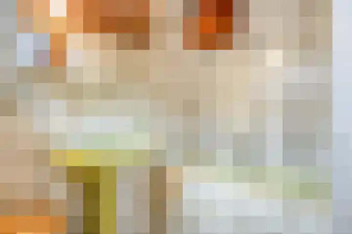 Wilhelminastraat 6 Geleen thumbnail 16