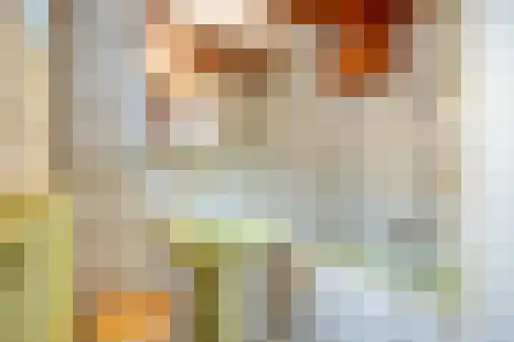 Wilhelminastraat 6 Geleen thumbnail 17