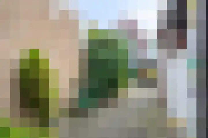 Wilhelminastraat 6 Geleen thumbnail 18