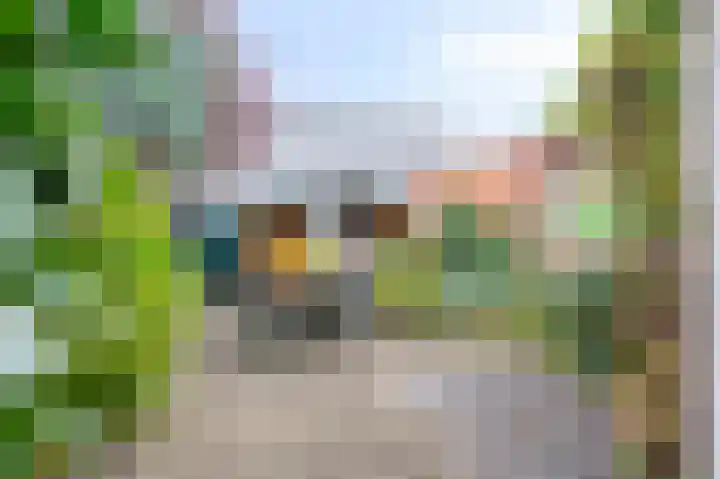 Wilhelminastraat 6 Geleen thumbnail 19
