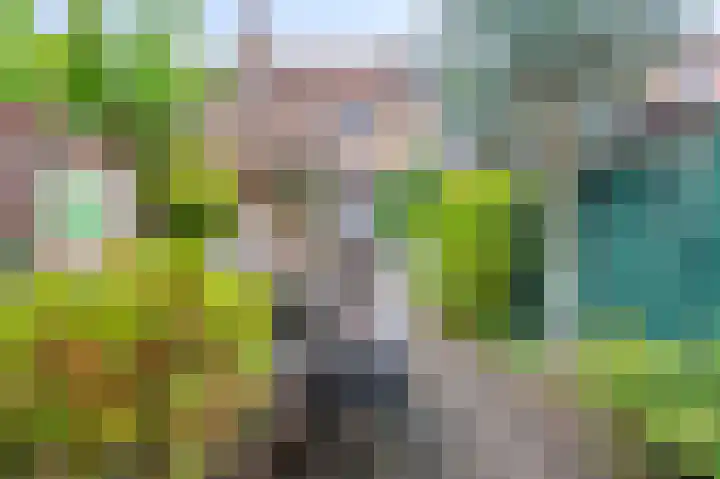 Wilhelminastraat 6 Geleen thumbnail 20