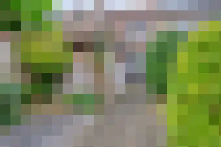 Wilhelminastraat 6 Geleen thumbnail 21