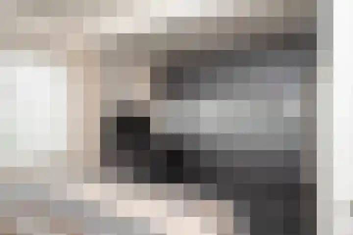 Wilhelminastraat 6 Geleen thumbnail 25