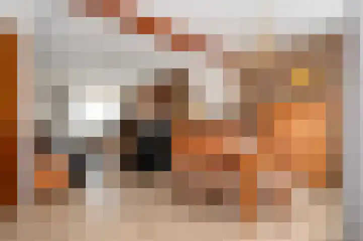 Wilhelminastraat 6 Geleen thumbnail 9