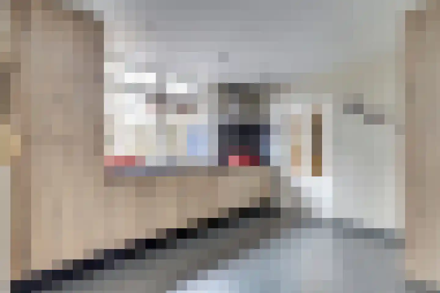 Wilhelminastraat 6 Gendt thumbnail 11