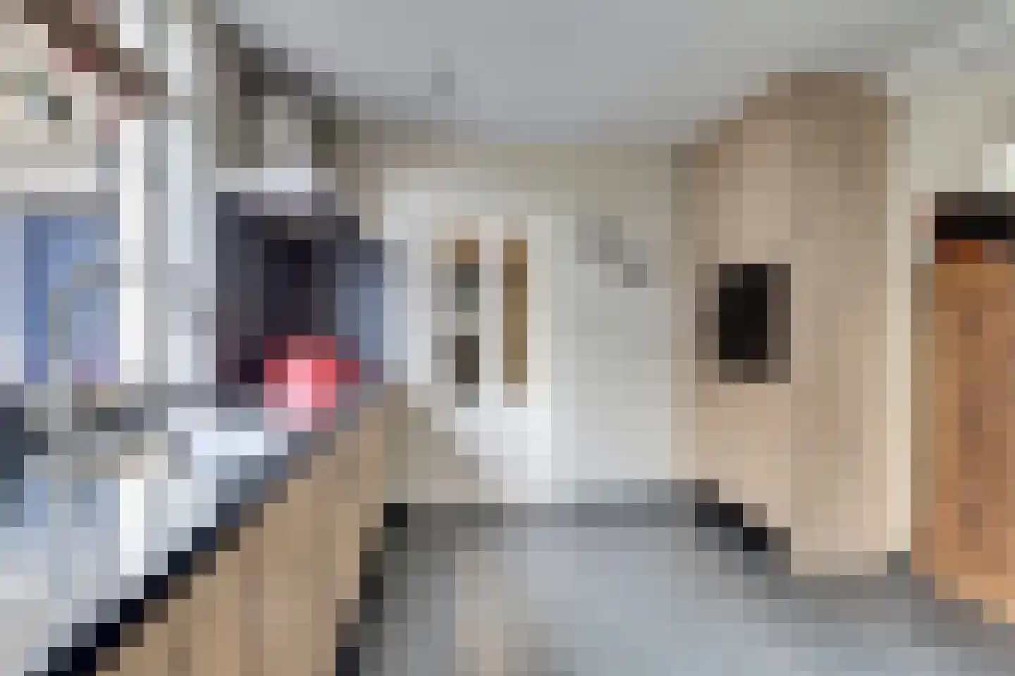 Wilhelminastraat 6 Gendt thumbnail 12