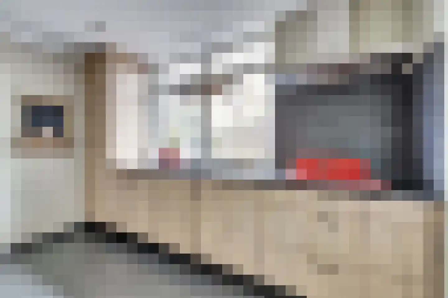 Wilhelminastraat 6 Gendt thumbnail 13