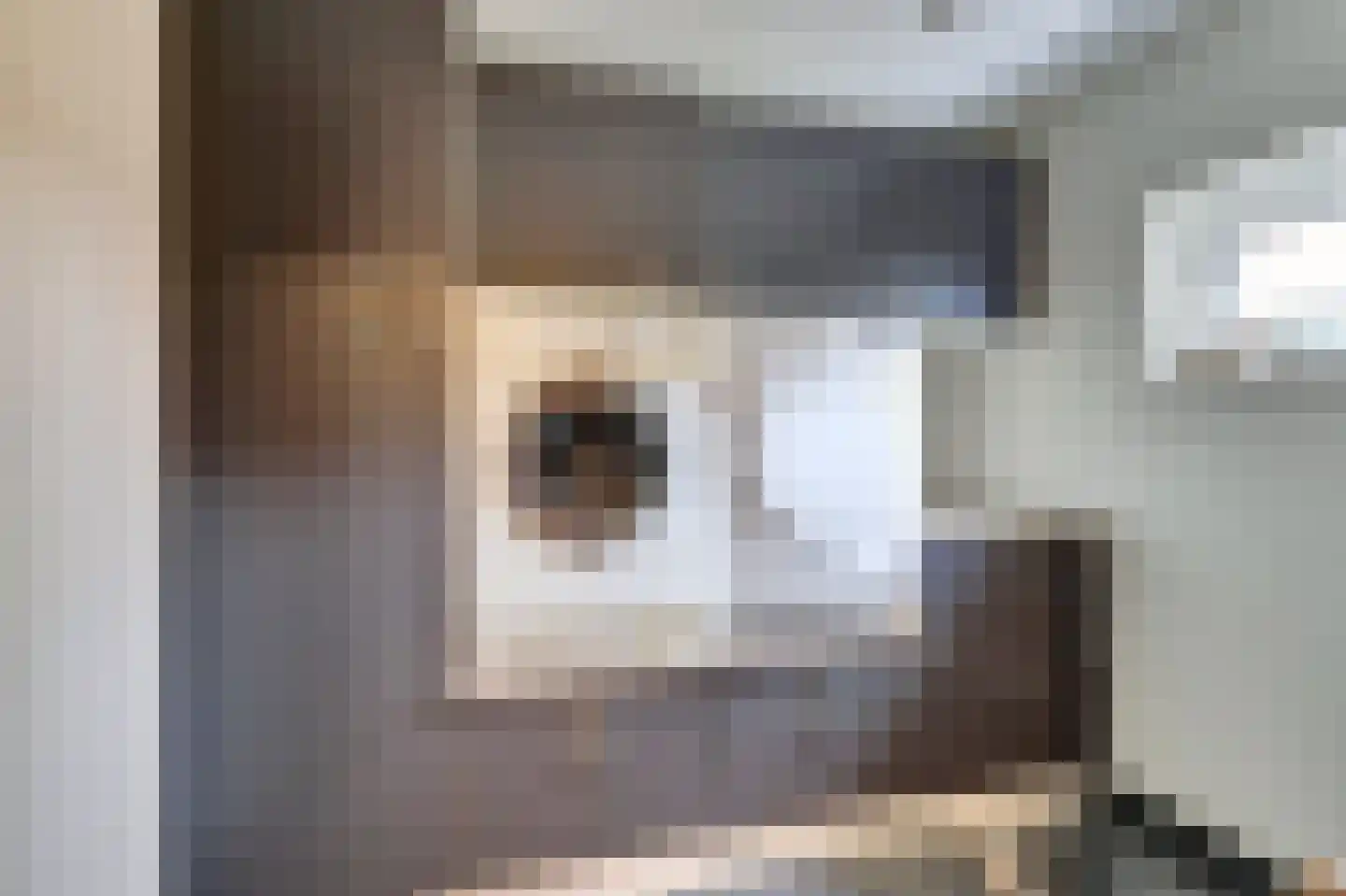 Wilhelminastraat 6 Gendt thumbnail 17
