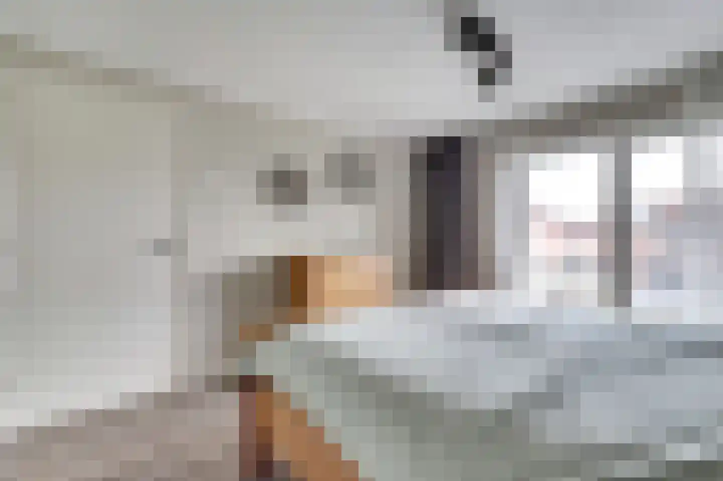 Wilhelminastraat 6 Gendt thumbnail 30