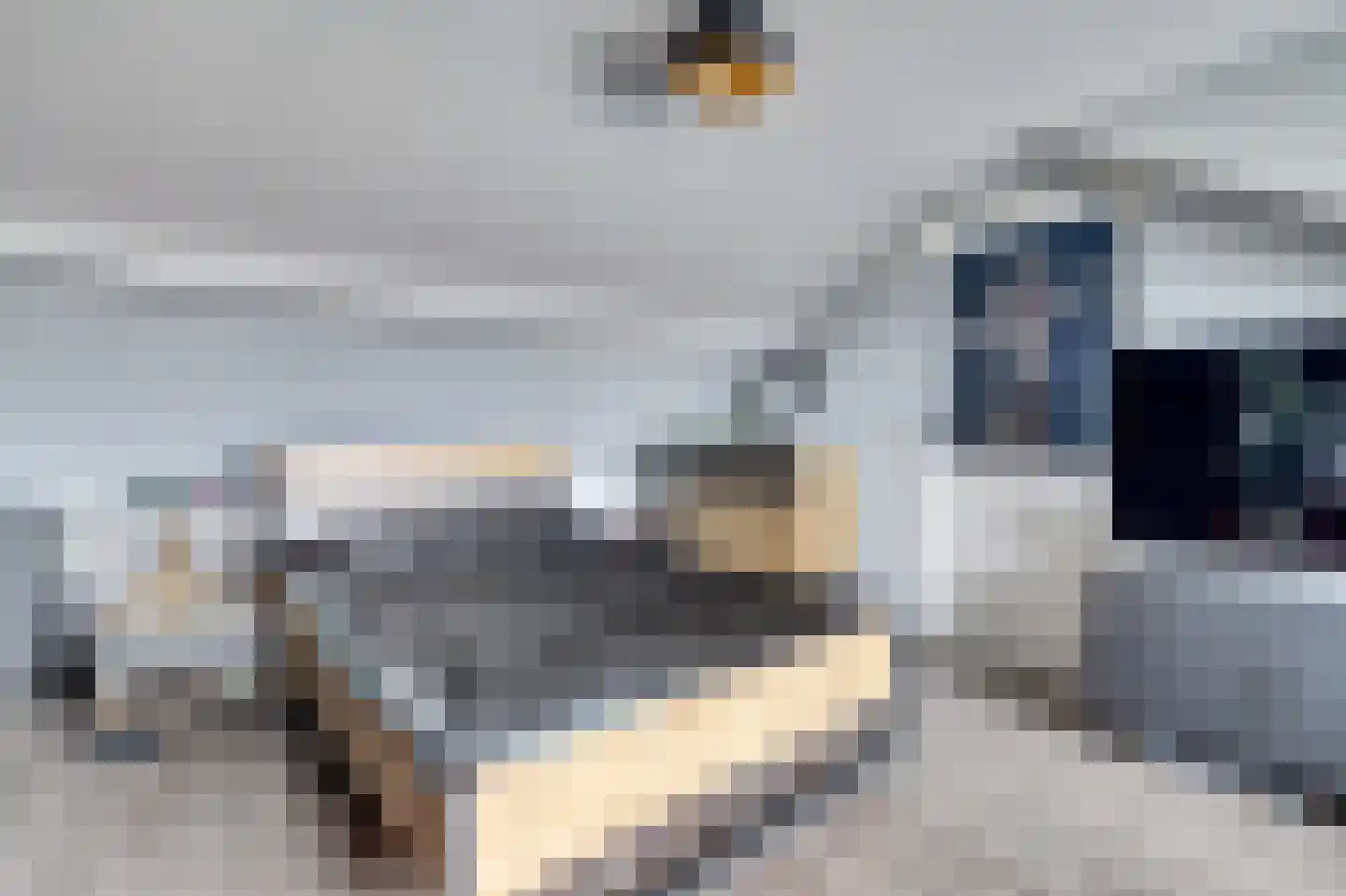 Wilhelminastraat 6 Gendt thumbnail 42