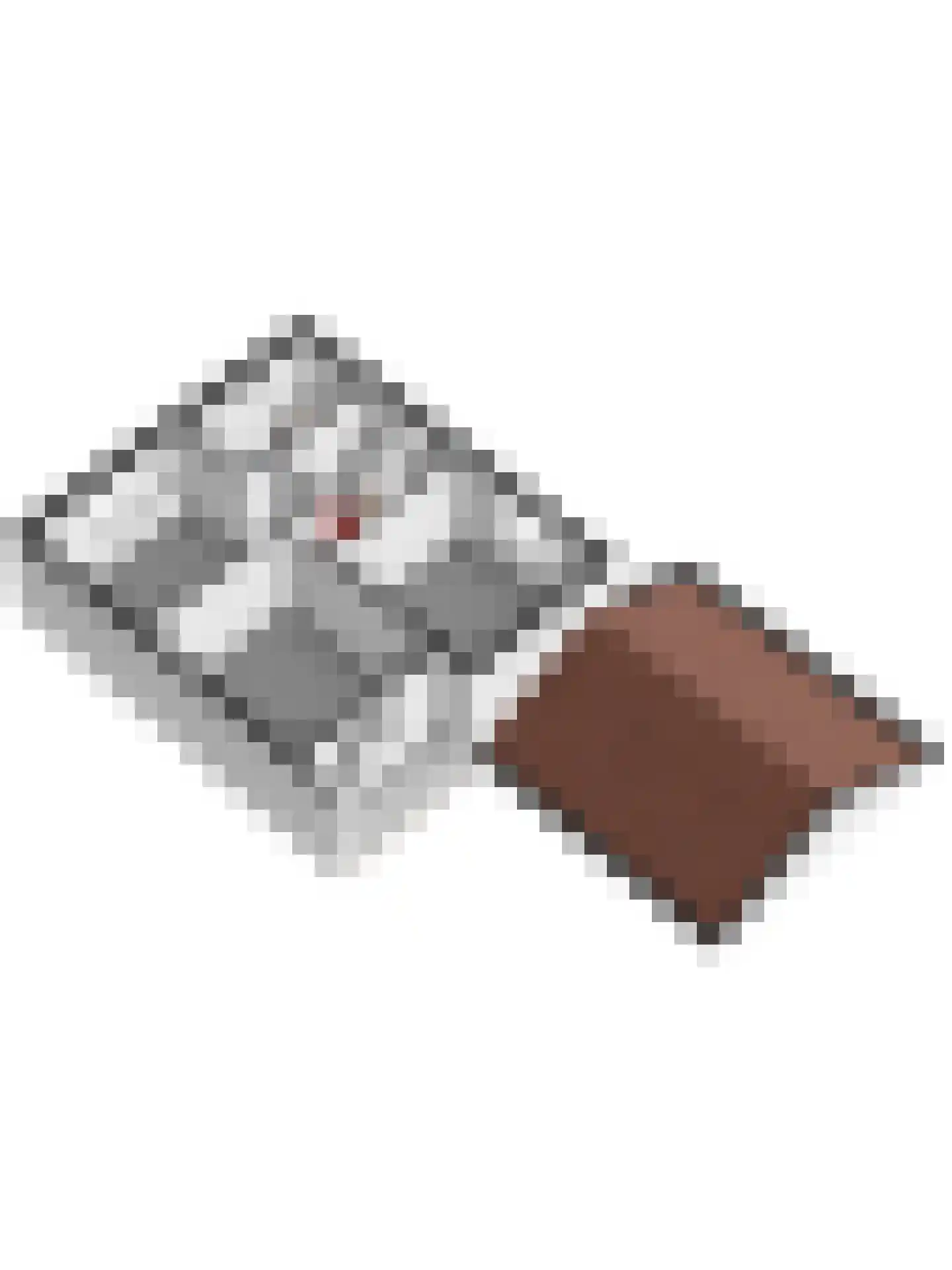 Wilhelminastraat 6 Gendt thumbnail 48