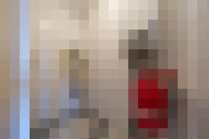 Wilhelminastraat 6 Montfoort thumbnail 24