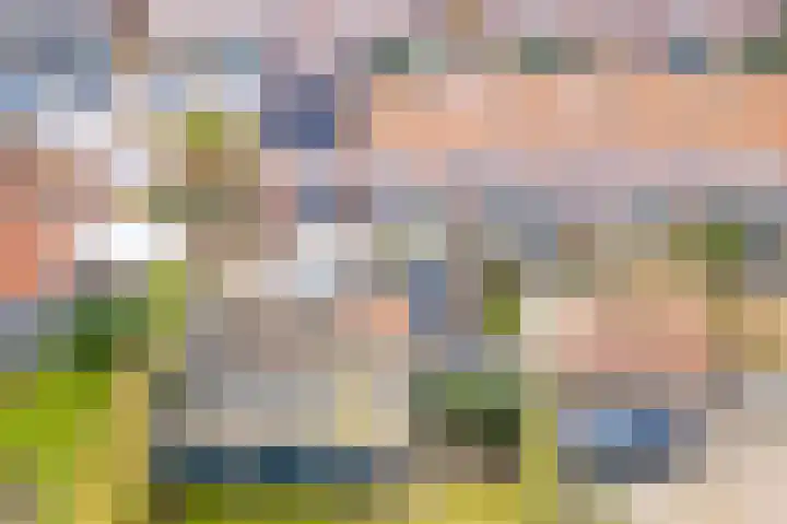 Wilhelminastraat 6 Montfoort thumbnail 33