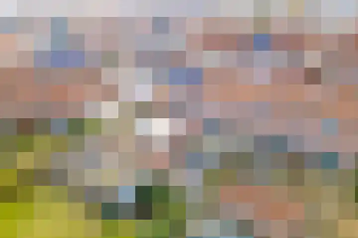 Wilhelminastraat 6 Montfoort thumbnail 34