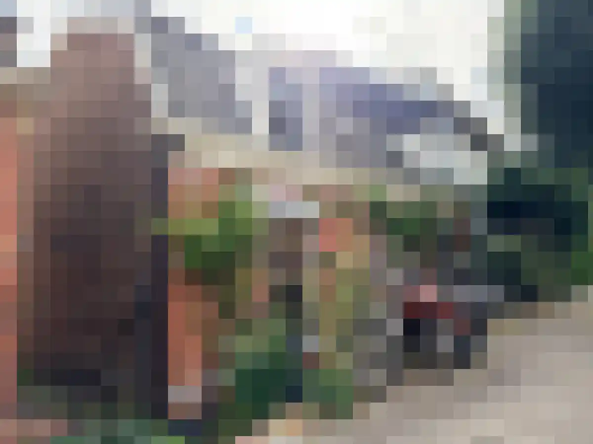 Wilhelminastraat 6 Noordwijk thumbnail 6