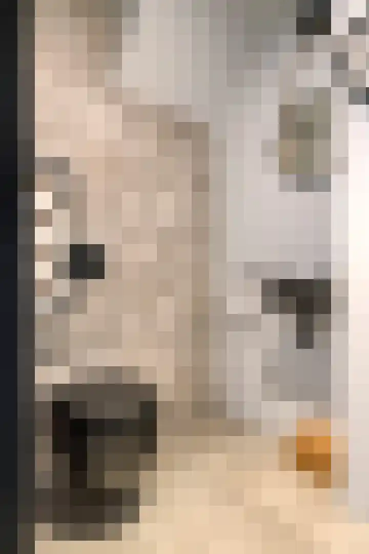 Wilhelminastraat 6 Oudelande thumbnail 10