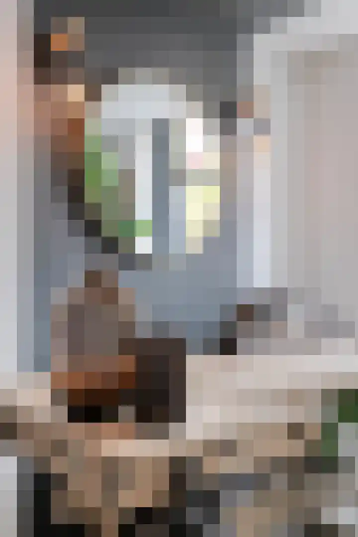 Wilhelminastraat 6 Oudelande thumbnail 11